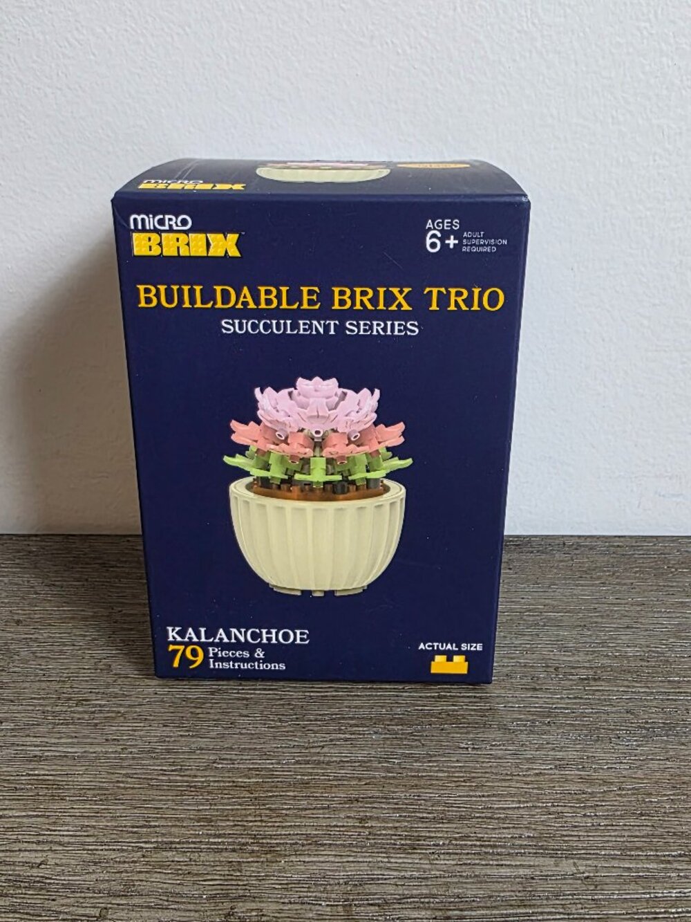 Kalanchoe:  Micro Brix Buildable Brix Trio Succulent Series NEW and SEALED